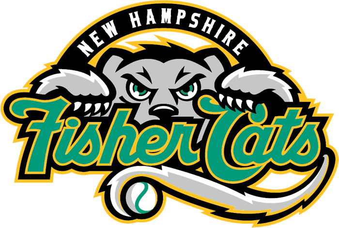 New Hampshire Fisher 2008-2010 Primary Logo iron on paper